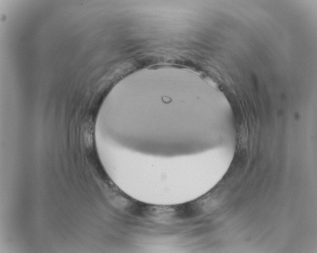 X0000088210719200706121805