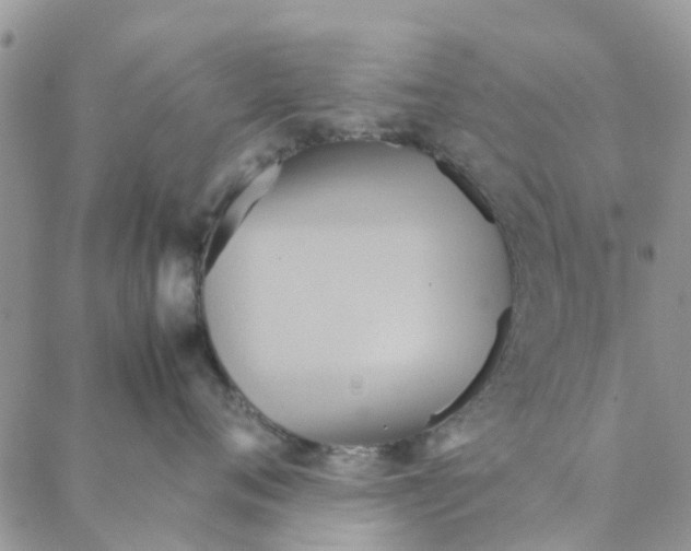 X0000088210720200706121805