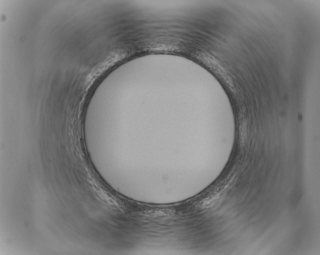 X0000088210721200706121804