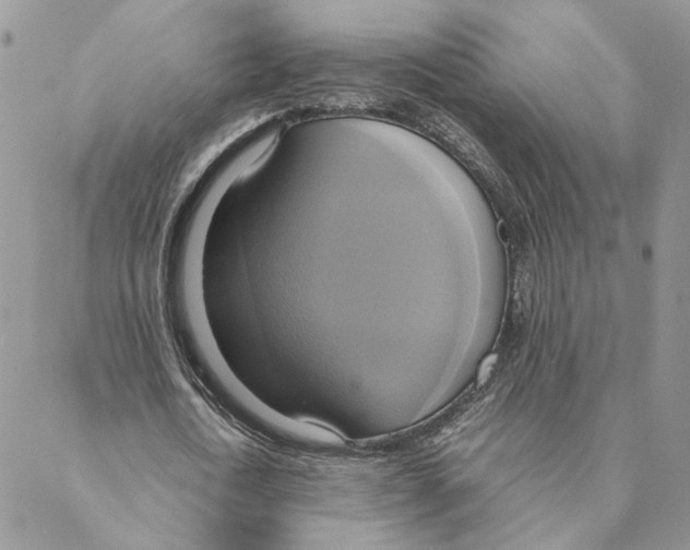 X0000088210722200706121804