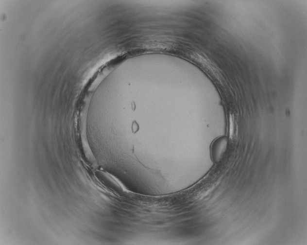 X0000088210723200706121804