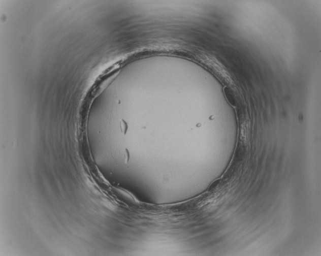 X0000088210724200706121804