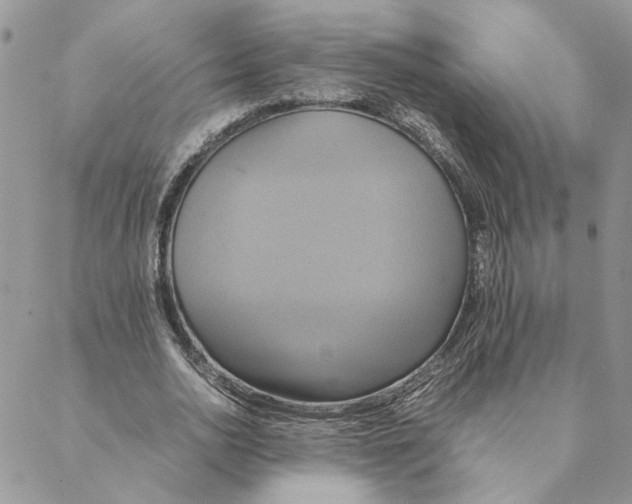 X0000088210726200706121804