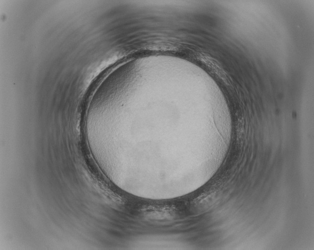 X0000088210727200706121804