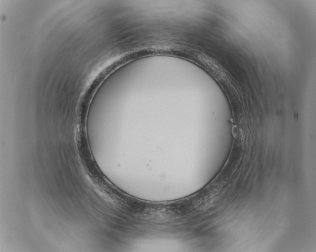 X0000088210728200706121804