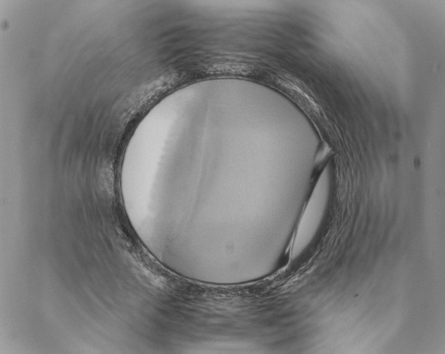 X0000088210729200706121805