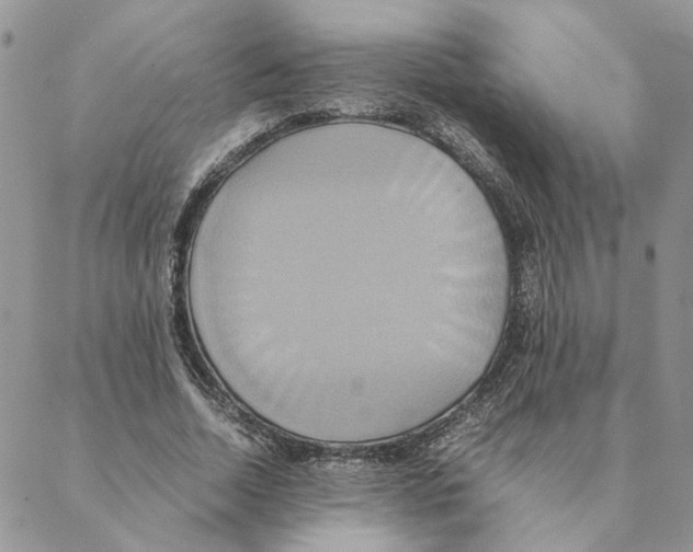 X0000088210730200706121805