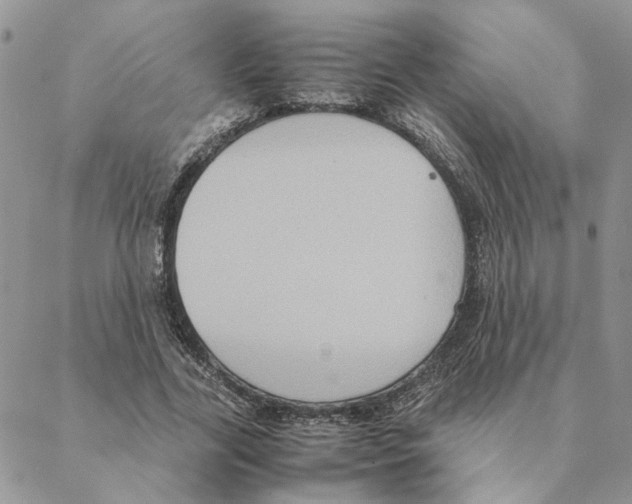 X0000088210731200706121805