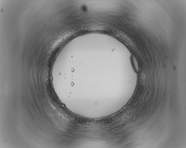 X0000088210732200706121805