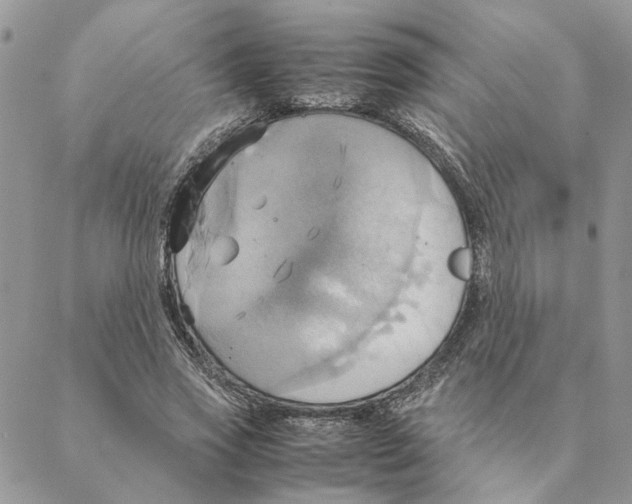 X0000088210733200706121805