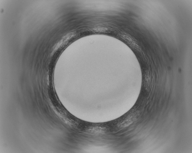 X0000088210734200706121805