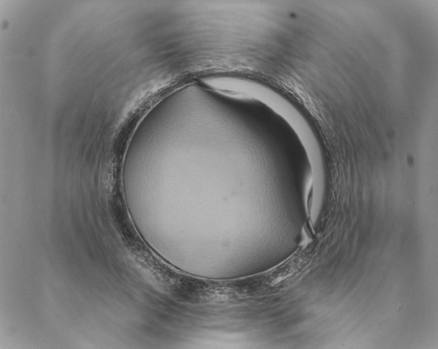 X0000088210736200706121805