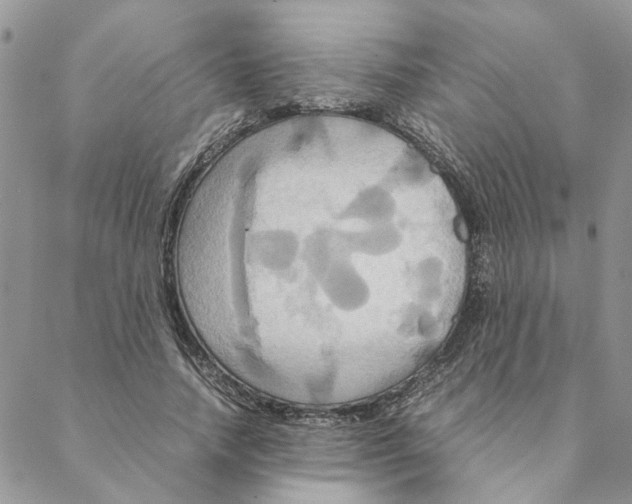 X0000088210738200706121805