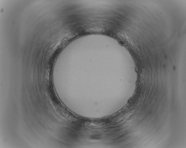 X0000088210739200706121805