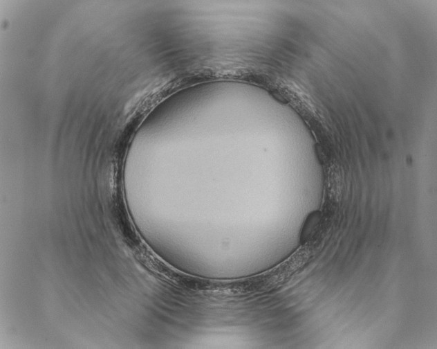 X0000088210740200706121805