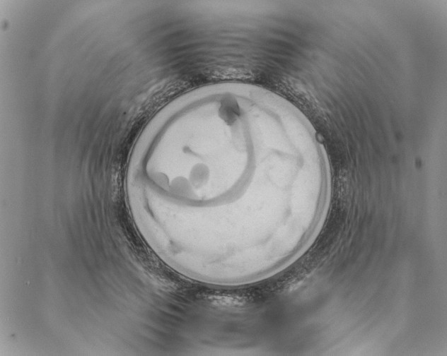 X0000088210741200706121805