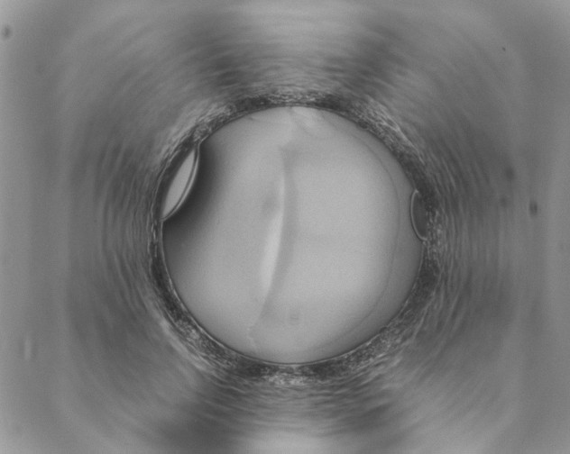 X0000088210742200706121805