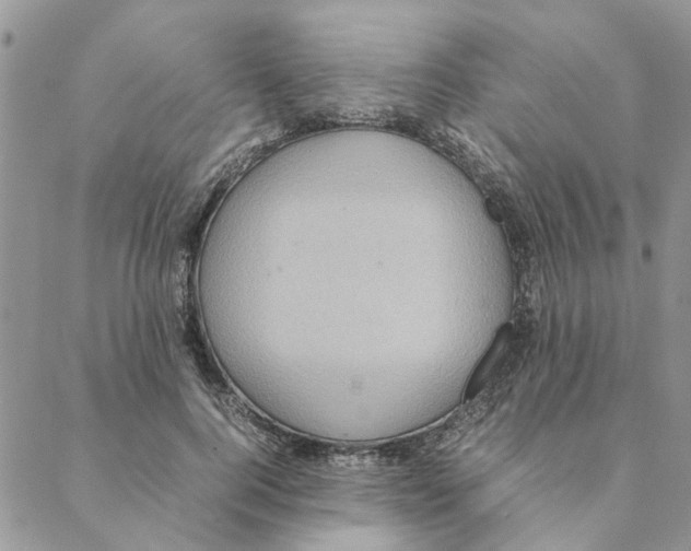 X0000088210744200706121805