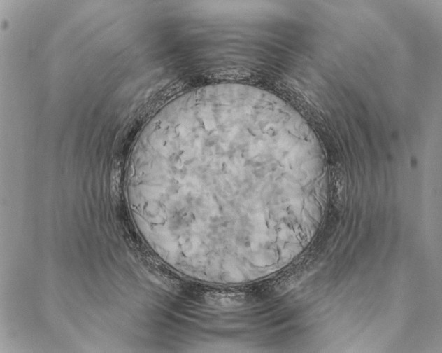 X0000088210745200706121805