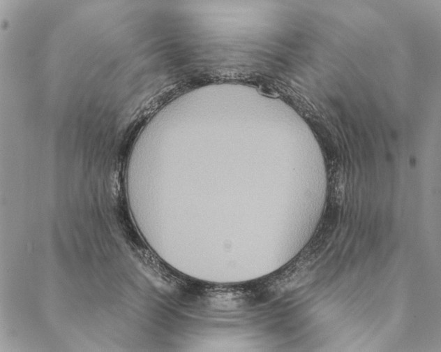 X0000088210746200706121805