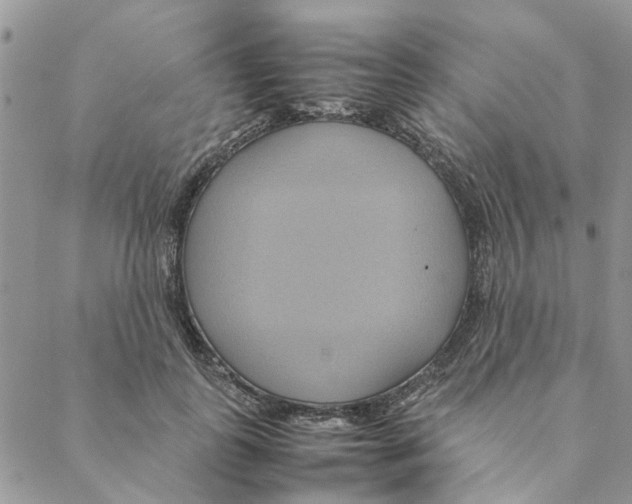 X0000088210747200706121805