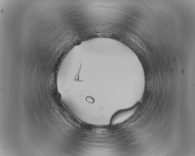 X0000088210748200706121805