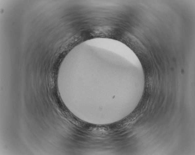 X0000088210751200706121805