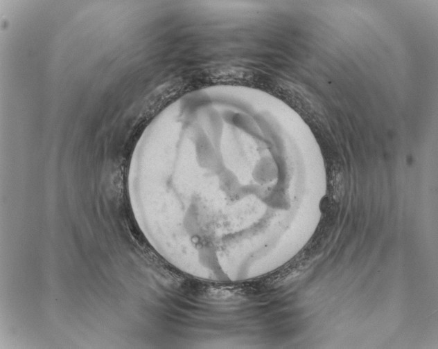 X0000088210753200706121805