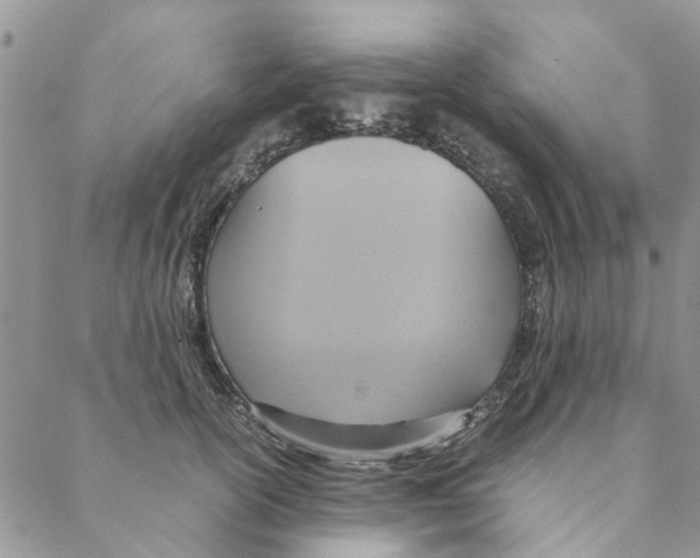 X0000088210754200706121805