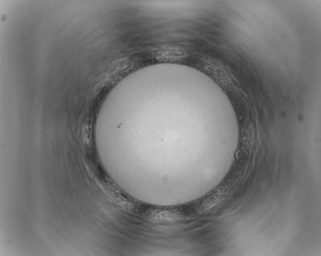 X0000088210755200706121805