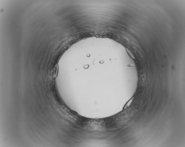 X0000088210756200706121805