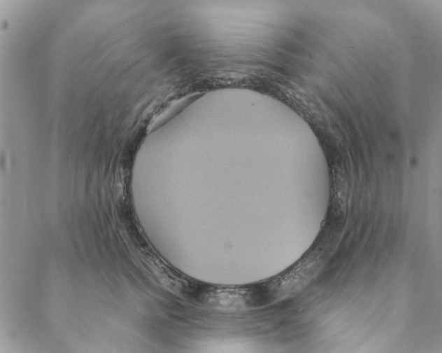 X0000088210758200706121805