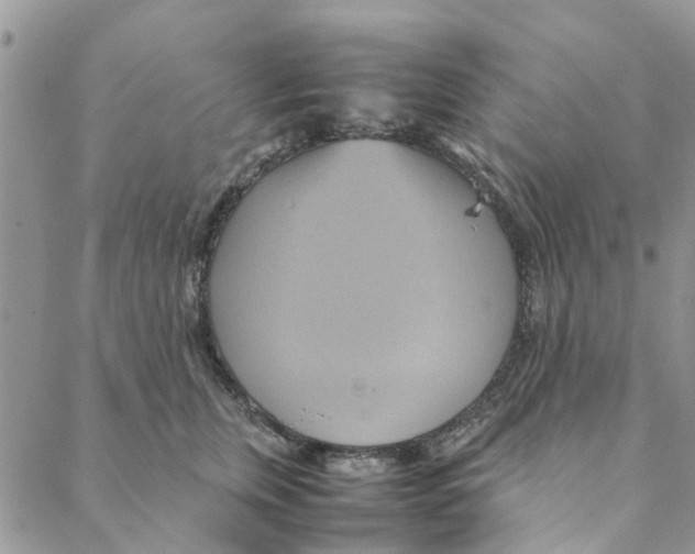 X0000088210759200706121805