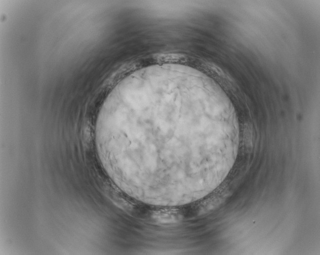 X0000088210761200706121805