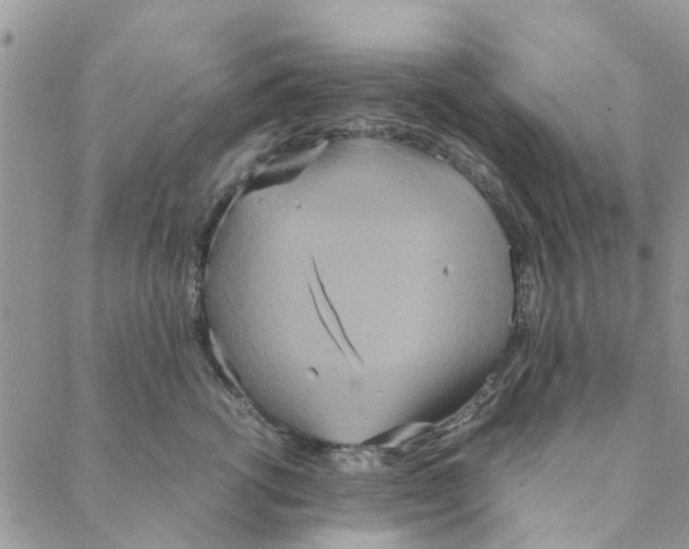 X0000088210762200706121805