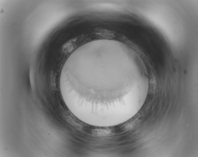 X0000088210765200706121805