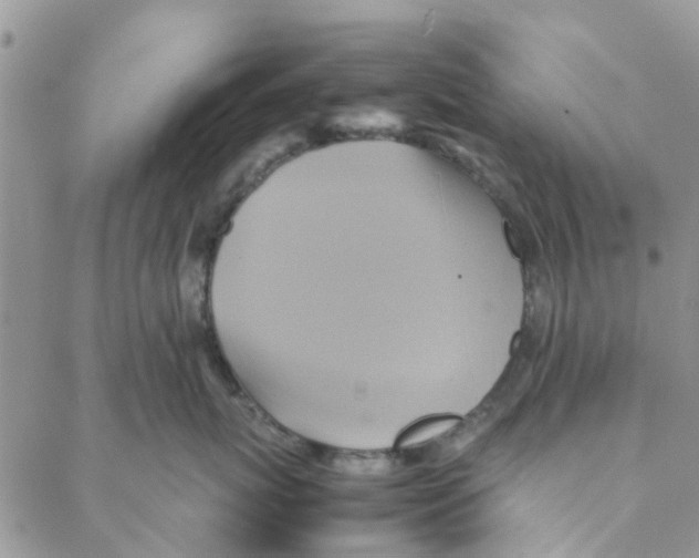 X0000088210767200706121805