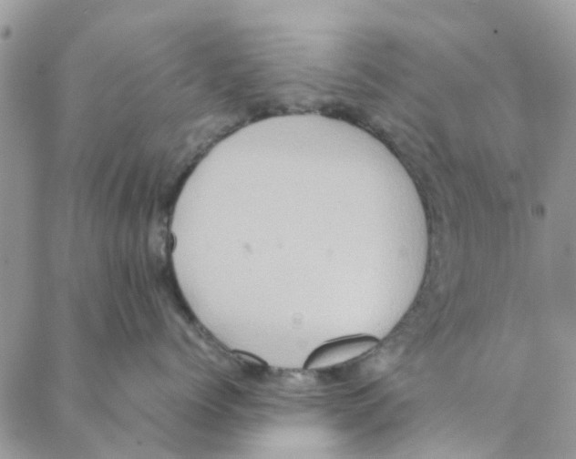 X0000088210768200706121805