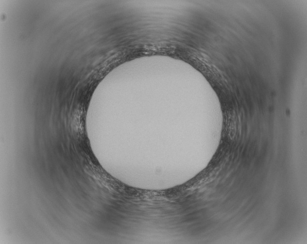 X0000088210770200706121804