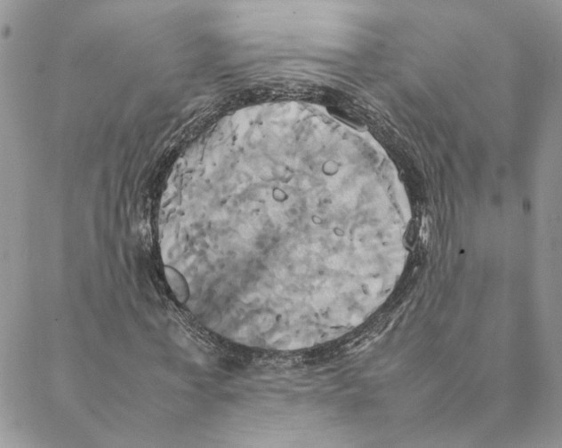 X0000088210771200706121804