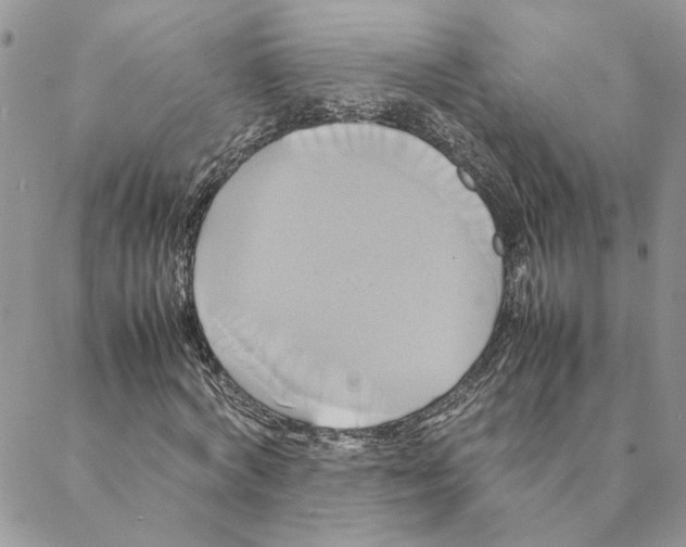 X0000088210772200706121804