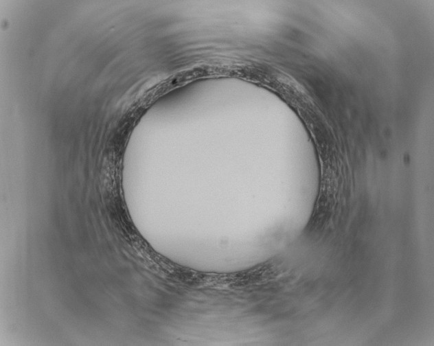 X0000088210773200706121804