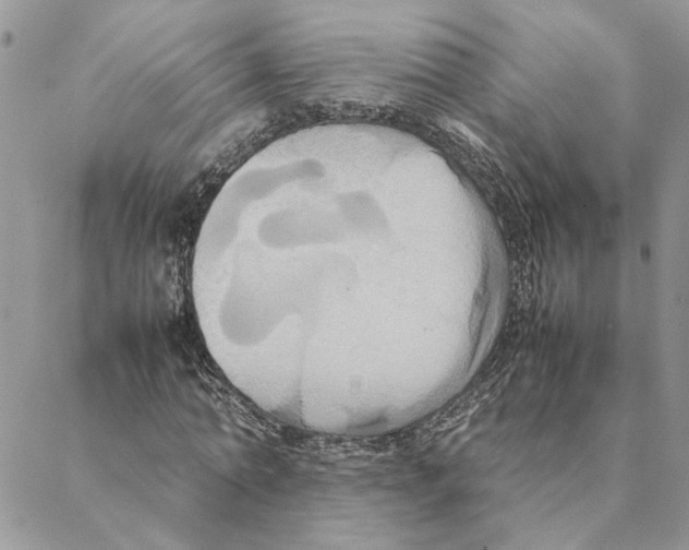 X0000088210774200706121804