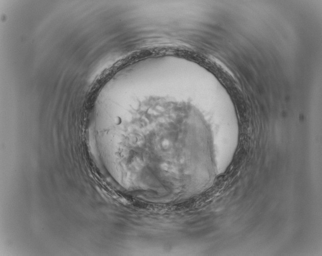 X0000088210775200706121804