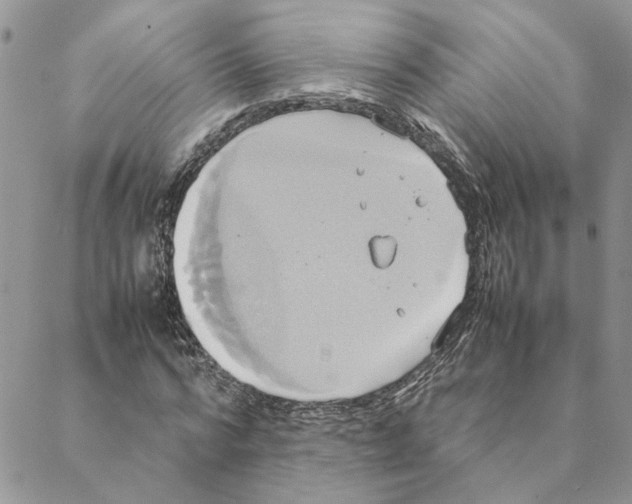 X0000088210776200706121804