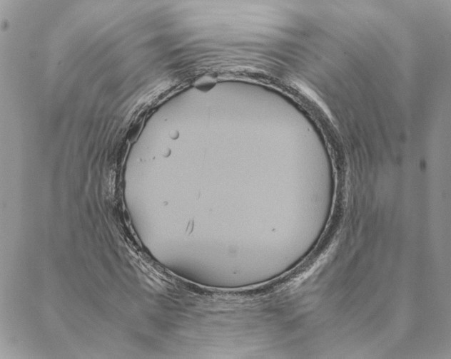 X0000088210777200706121804