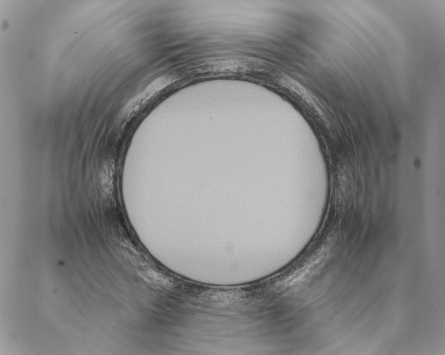 X0000088210778200706121804