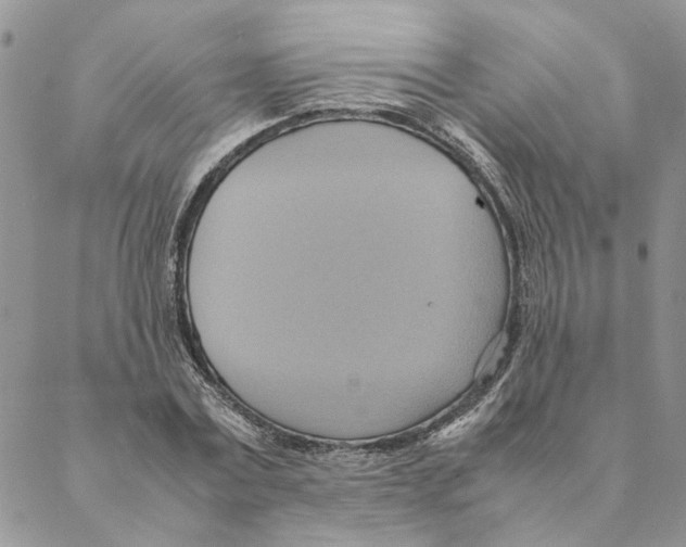 X0000088210779200706121804