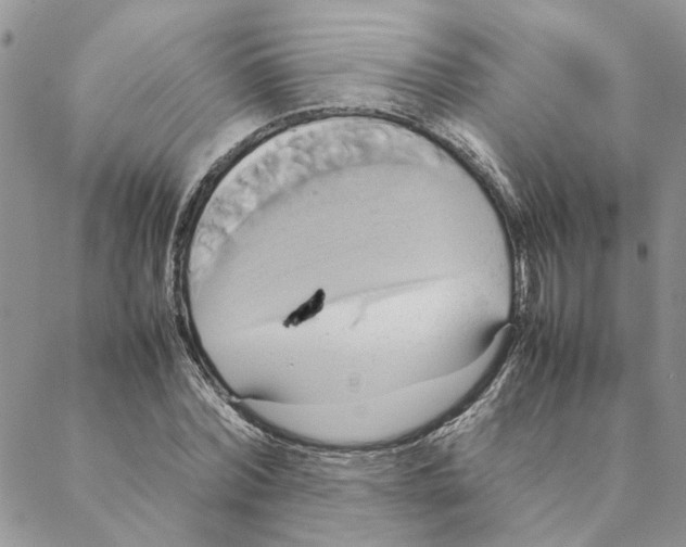 X0000088210780200706121804