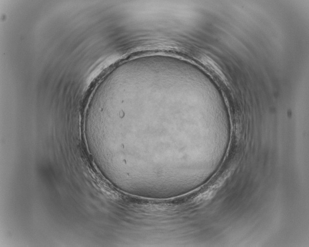 X0000088210781200706121804